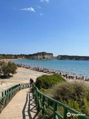 Zakynthos Turtle Rescue Center