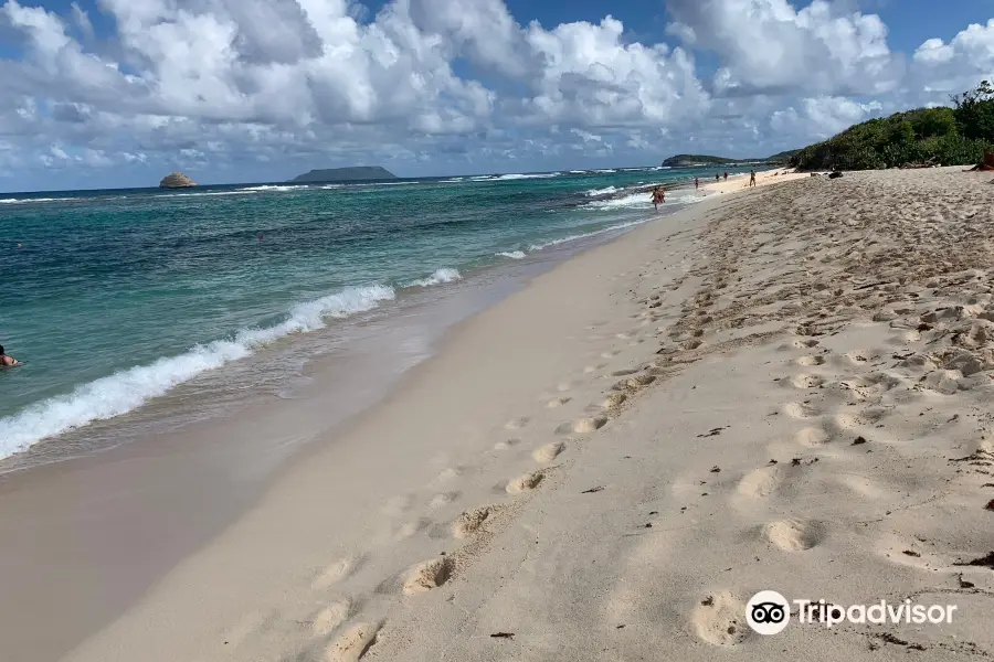 Anse à la Gourde