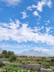 Paserene Wine Farm & Wine Tasting in Franschhoek