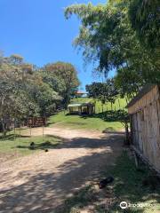 Alto de Las Piedras Archaeological Park