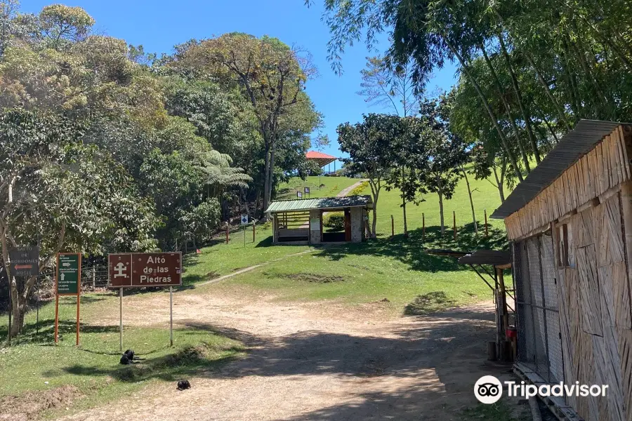 Alto de Las Piedras Archaeological Park