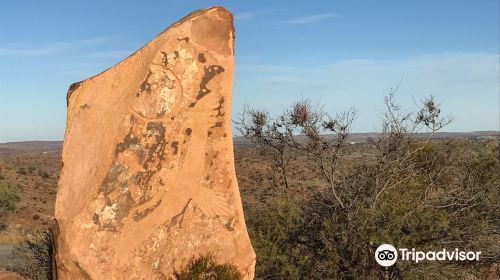 Living Desert State Park