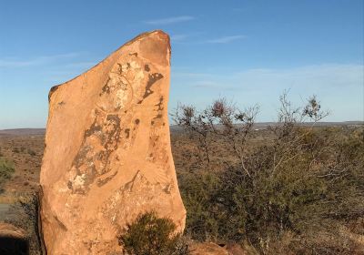 Living Desert State Park