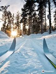 Erkki Harju Ski Trail