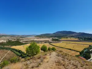 Mirador de las Lomas