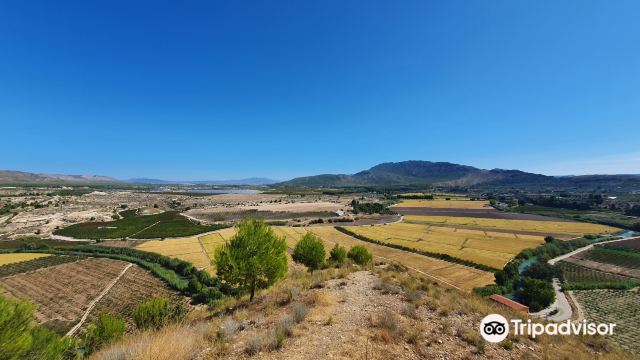 Mirador de las Lomas