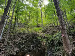 Valea Cetatii Cave
