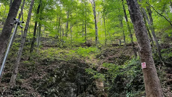 Valea Cetatii Cave