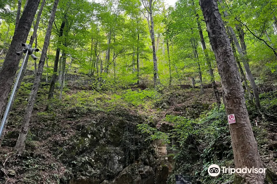 Valea Cetatii Cave