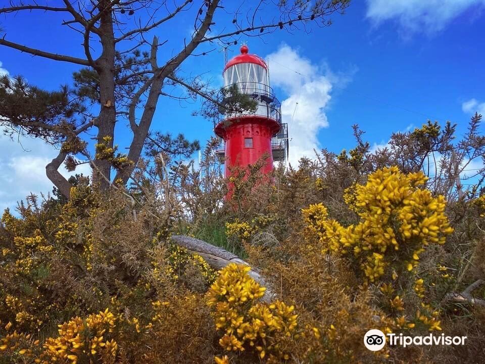 Hotels in Oost-Vlieland
