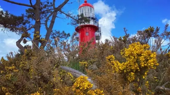 Vuurtoren Vlieland