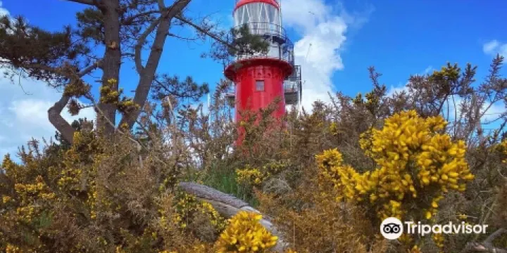 Vuurtoren Vlieland