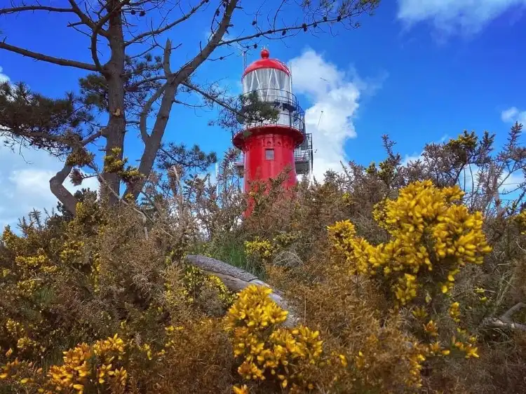 Oost-Vlieland