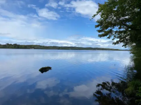 Castle Caldwell Forest
