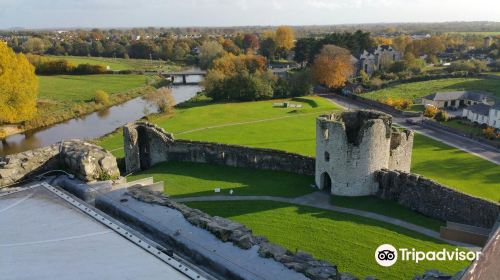 Trim Castle