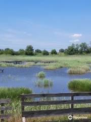 Naturschutzgebiet Poda