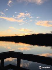 Lake Brandt Marina