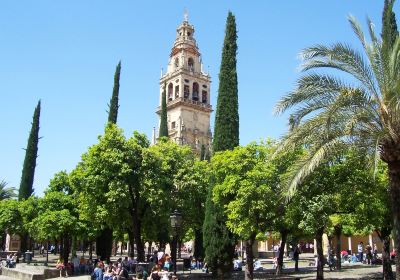 Patio De Los Naranjos