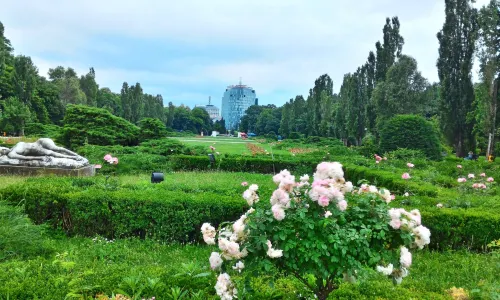 "King Michael I" Park