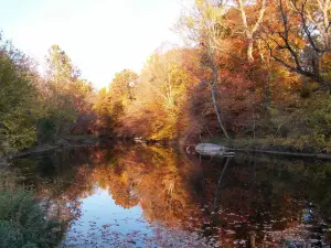 Pennypack Park