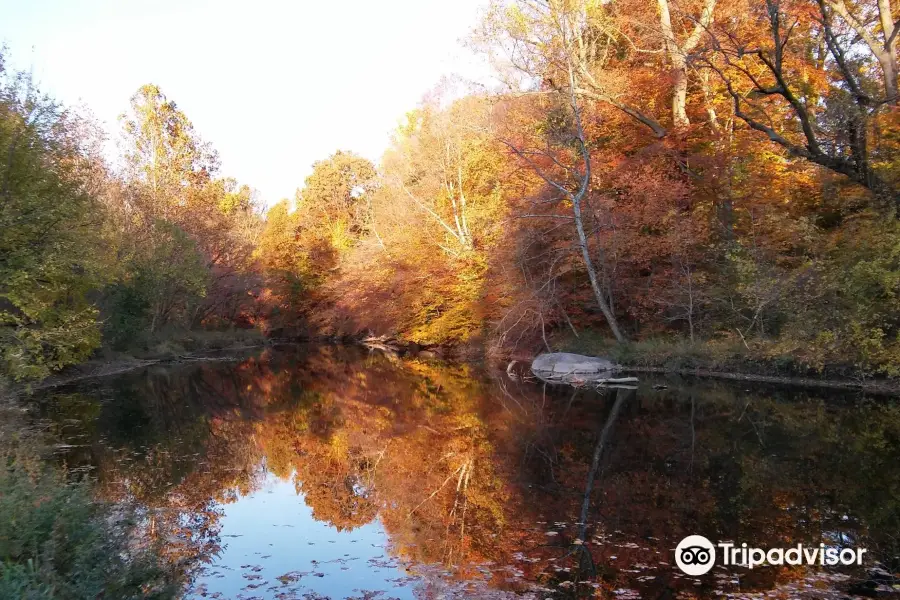 Pennypack Park