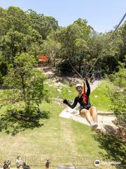 Treetop Challenge Currumbin