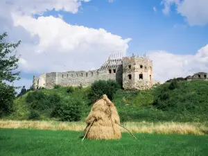 Pniv castle