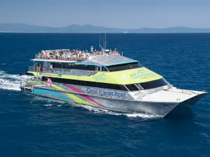 Big Cat Green Island Reef Cruises