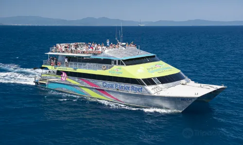 Big Cat Green Island Reef Cruises