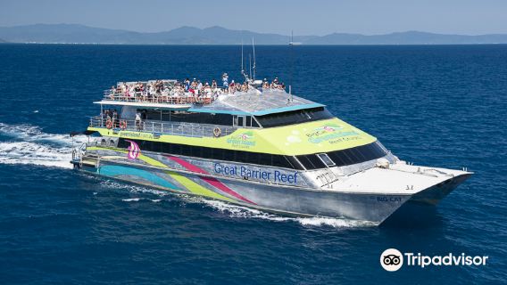 Big Cat Green Island Reef Cruises