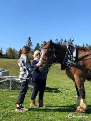 Belding Hill Farms