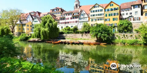 Holderlin's Tower (Holderlinturm)