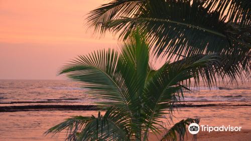 Beruwala Beach