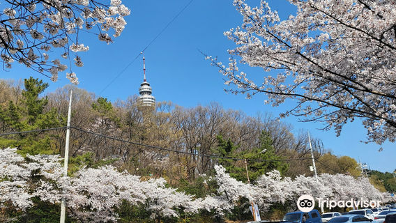 Daegu