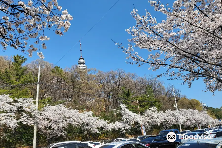 頭流公園