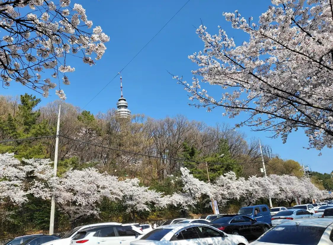 Hotels near Duryu Park