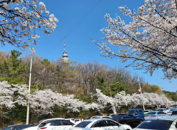 Hotels in der Nähe von Daegu Duryu Park