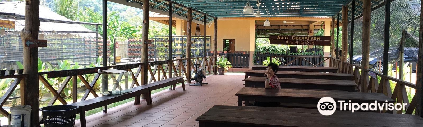 Balik PulauExperiences