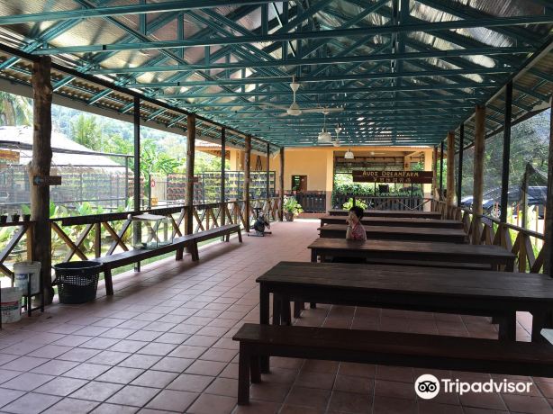 Balik Pulau