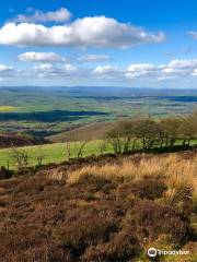 Stiperstones Nature Reserve