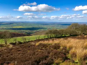 Stiperstones National Nature Reserve