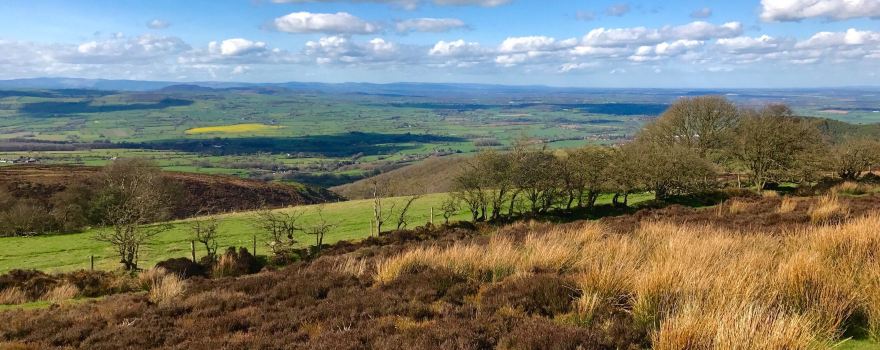 Stiperstones National Nature Reserve