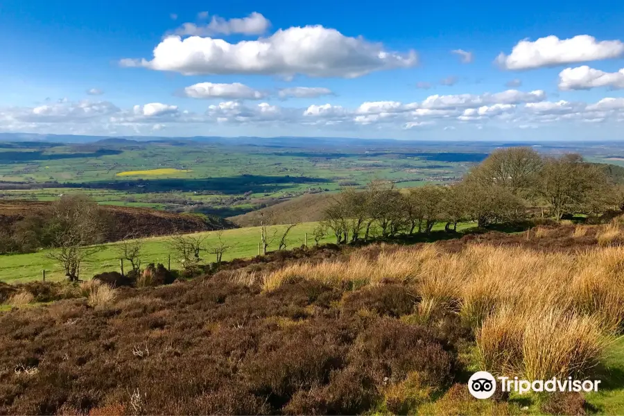 Stiperstones National Nature Reserve