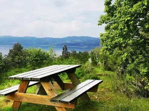 Sakarya Il Ormani Tabiat Parki