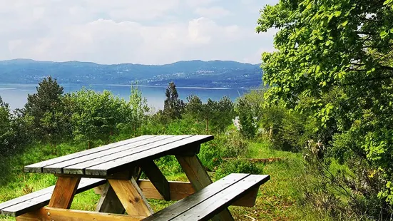 Sakarya Il Ormani Tabiat Parki