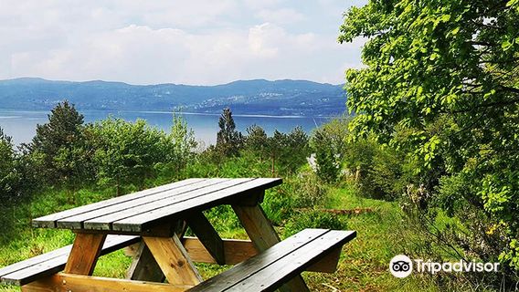 Sakarya Il Ormani Tabiat Parki