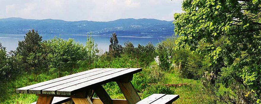 Sakarya Il Ormani Tabiat Parki