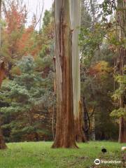 Taitua Arboretum