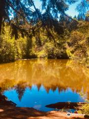 Siuslaw Falls