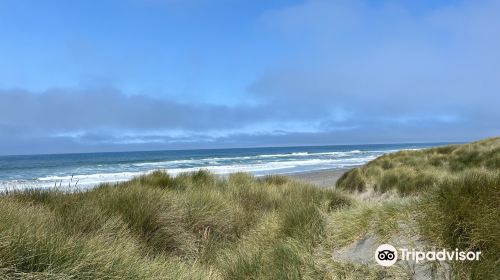 Tolowa Dunes State Park